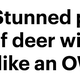 Via Daily Mail